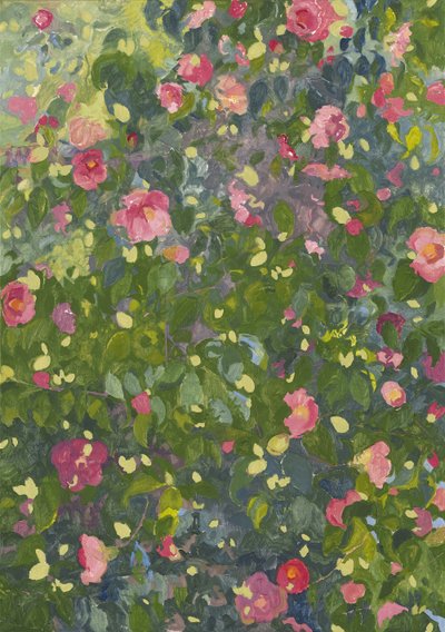 Camelia in fiore, 2014 da Leigh Glover